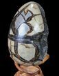 Septarian Dragon Egg Geode - Black Crystals #88183-2